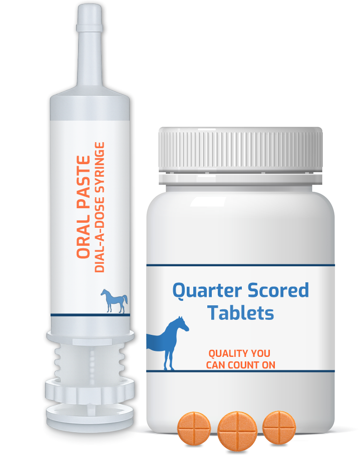 Oral paste formulation of the type described in published equine SGLT2 inhibitor research
